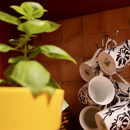 アパート View By *